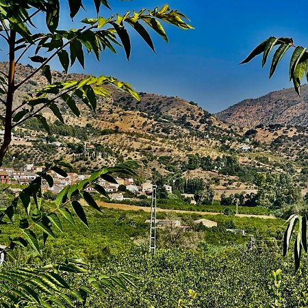 Апартаменты Finca Limoneros Эль-Чорро Экстерьер фото