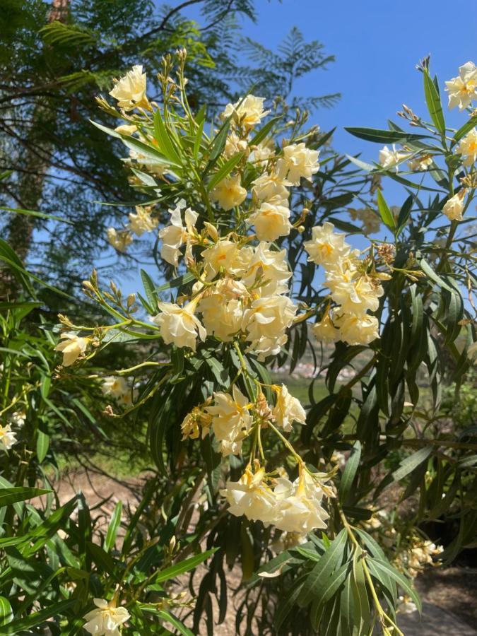 Апартаменты Finca Limoneros Эль-Чорро Экстерьер фото