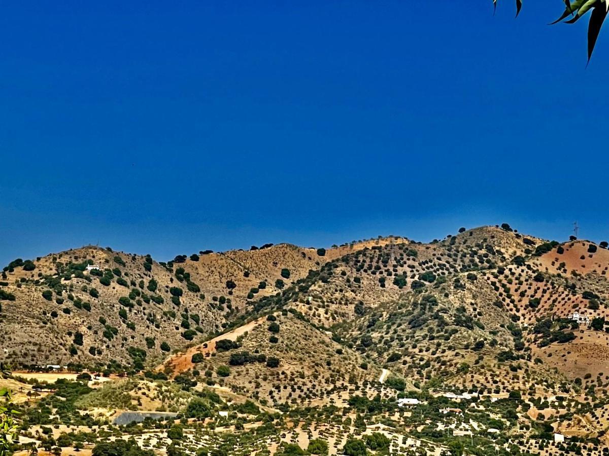 Апартаменты Finca Limoneros Эль-Чорро Экстерьер фото