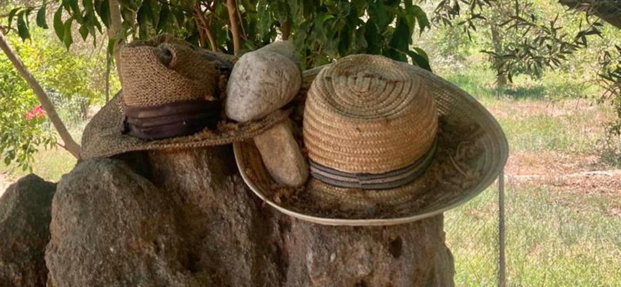 Апартаменты Finca Limoneros Эль-Чорро Экстерьер фото